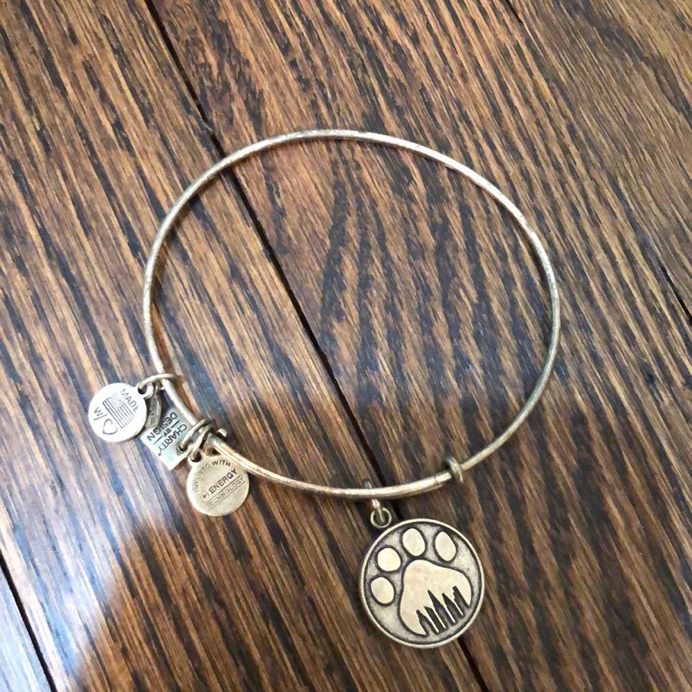 alex and ani silver paw bracelet